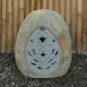 morepic-1
